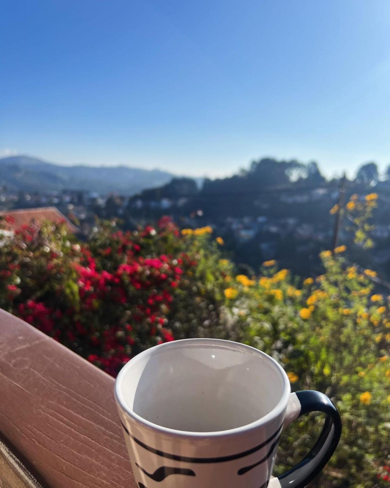 La Casa Da Fotografia Homestay *