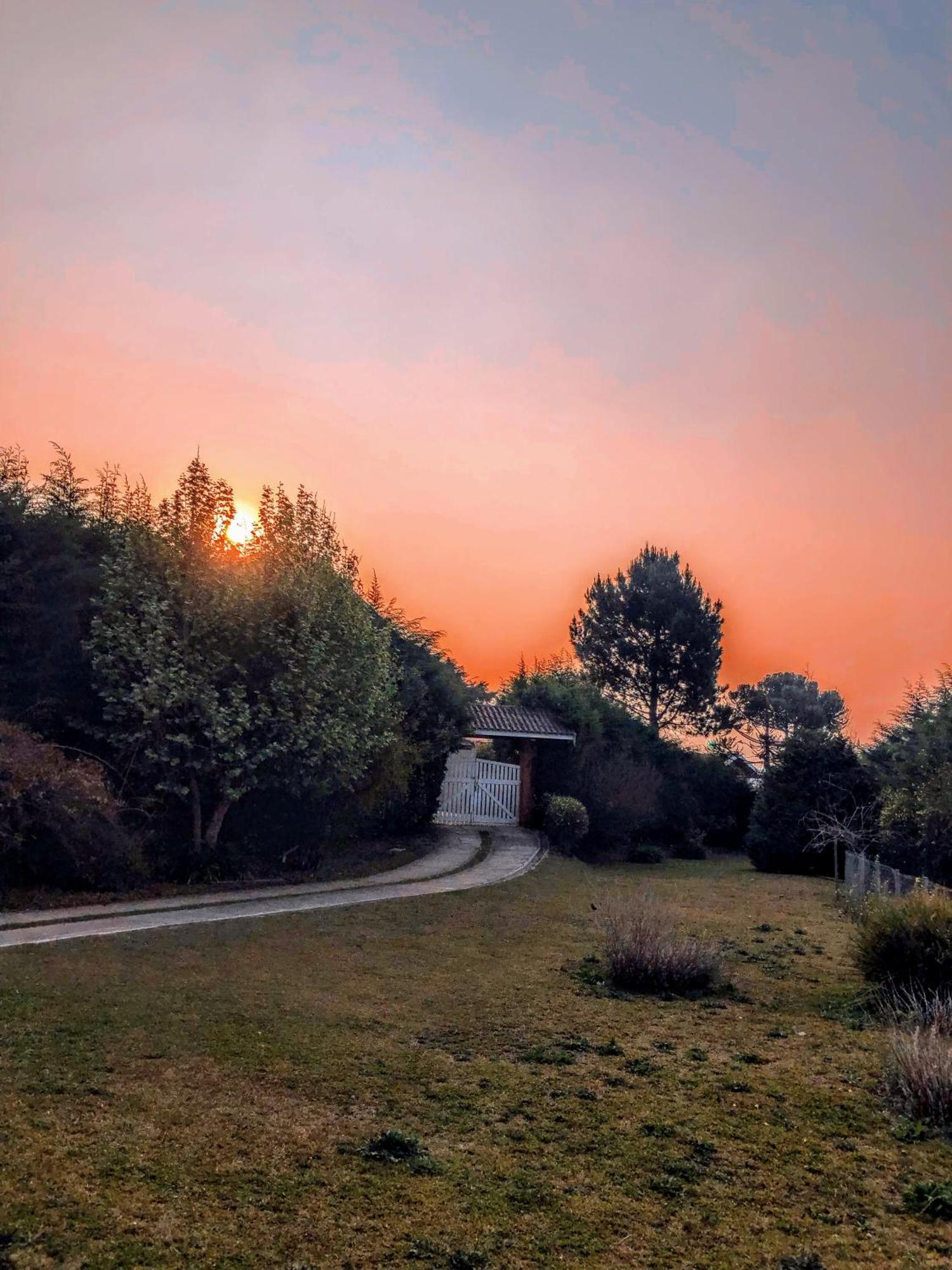 La Casa Da Fotografia Homestay