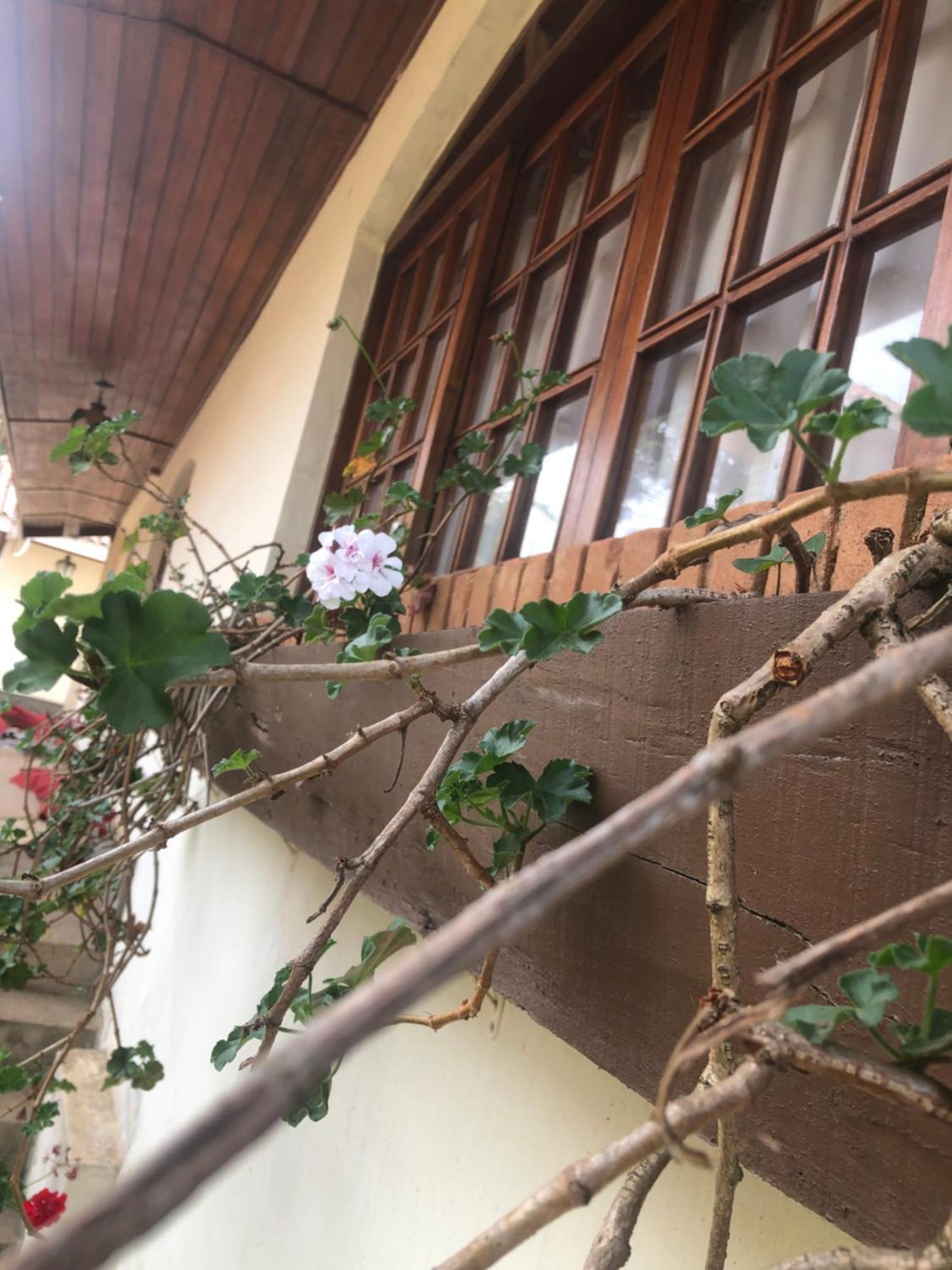 La Casa Da Fotografia Homestay Campos do Jordao